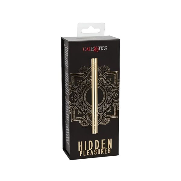 Diseño sin título - 2025-07-22T210331.264 (1) HIDDEN PLEASURES